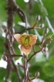 /album/bildgalleri/img-3906-jpg/